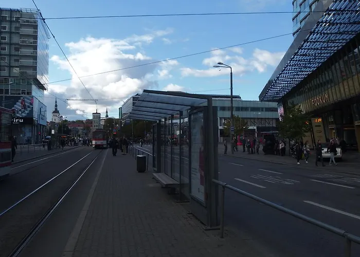 Estinn * Таллин